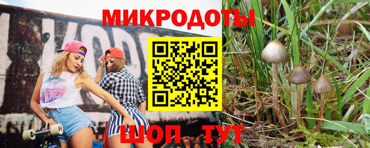 Галлюциногенные грибы Psilocybe Тосно